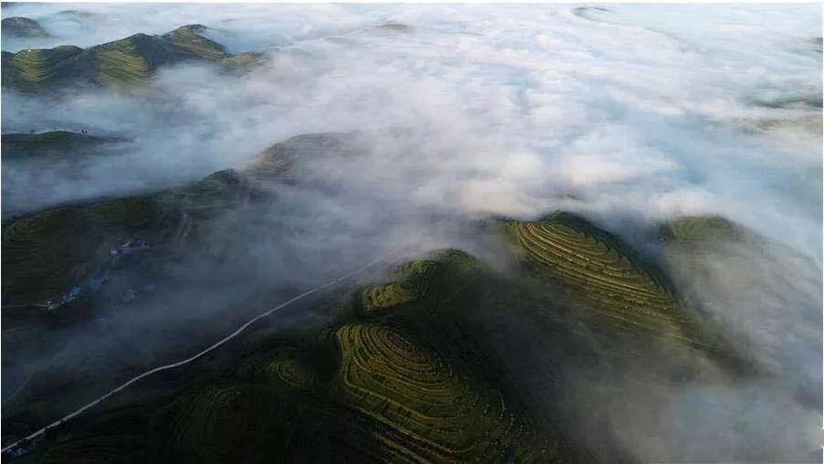 泡泡升空记8